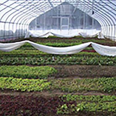 A quick and easy way to cover hoophouse crops